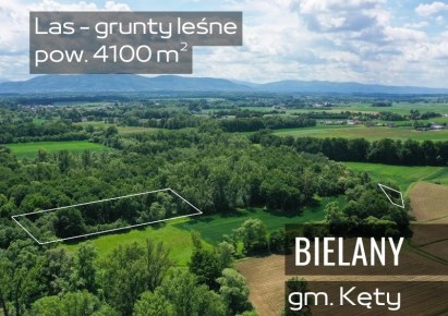 działka na sprzedaż - Kęty (gw), Bielany