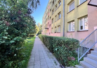 mieszkanie na wynajem - Chorzów, Batory, Czempiela