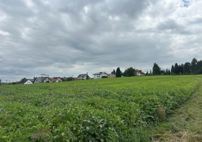 działka na sprzedaż - Pszczyna (gw), Łąka, Jaworowa