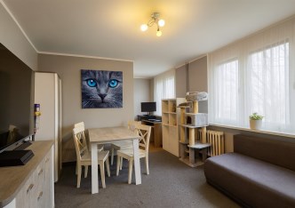 mieszkanie na sprzedaż - Katowice, Koszutka, Grabowa