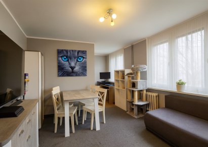 mieszkanie na sprzedaż - Katowice, Koszutka, Grabowa