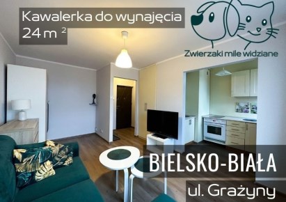 mieszkanie na wynajem - Bielsko-Biała, Grażyny