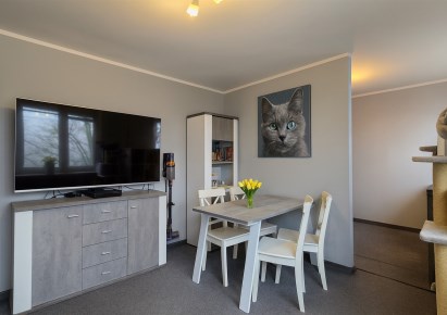 mieszkanie na sprzedaż - Katowice, Koszutka, Grabowa