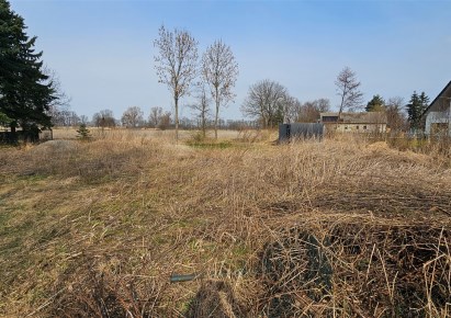 działka na sprzedaż - Chybie, Frelichów, Kasztanowa