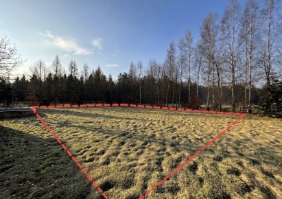 działka na sprzedaż - Pszczyna (gw), Jankowice, Sarenek