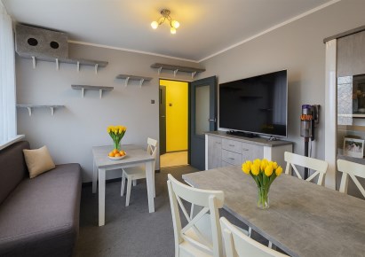 mieszkanie na sprzedaż - Katowice, Koszutka, Grabowa