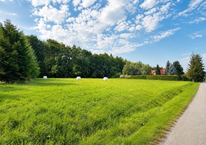 działka na sprzedaż - Hażlach, Zamarski, Sadowa