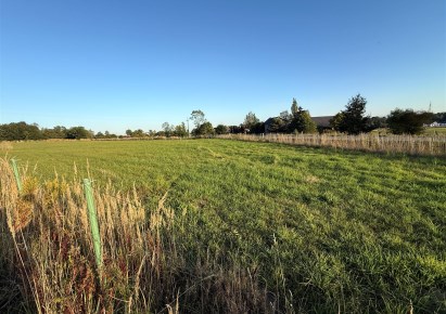 działka na sprzedaż - Pszczyna (gw), Poręba, Wodzisławska